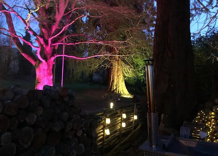 Best Dog Friendly Hotels in Carluke