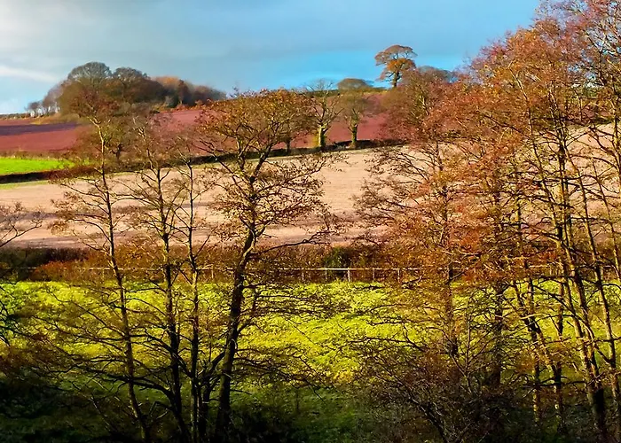 Top Eccleshall Pubs and Hotels for Memorable Stays