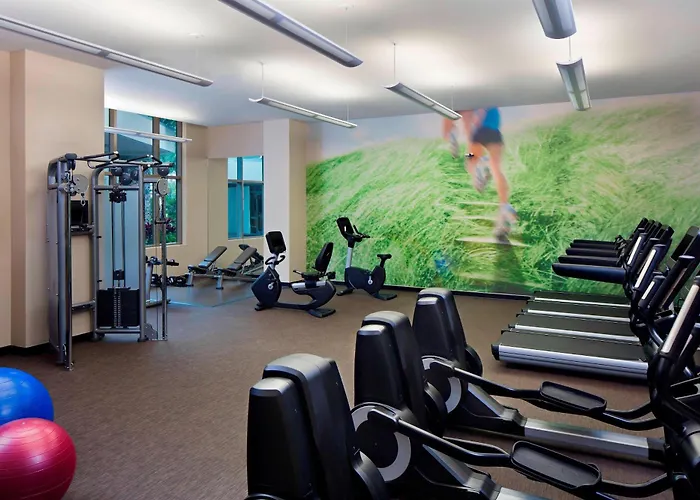 Premier Hotels Close to Raymond James Stadium